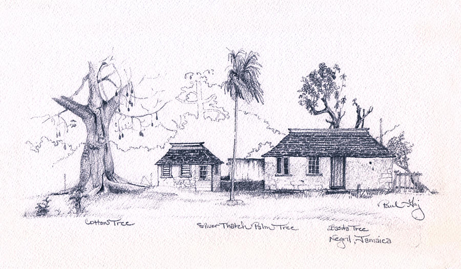 Negril Trees Drawing by Paul Gaj