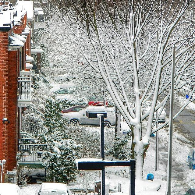 Winter Photograph - Neighbourhood Looked Ready For An Urban by Austin H Kapfumvuti