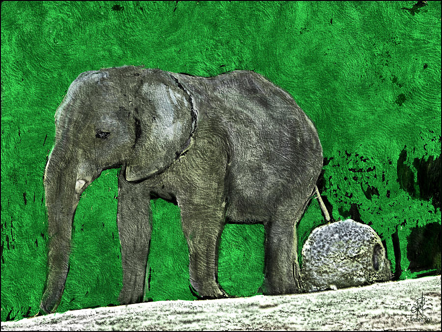 Nelly the Elephant Digital Art by Pennie McCracken