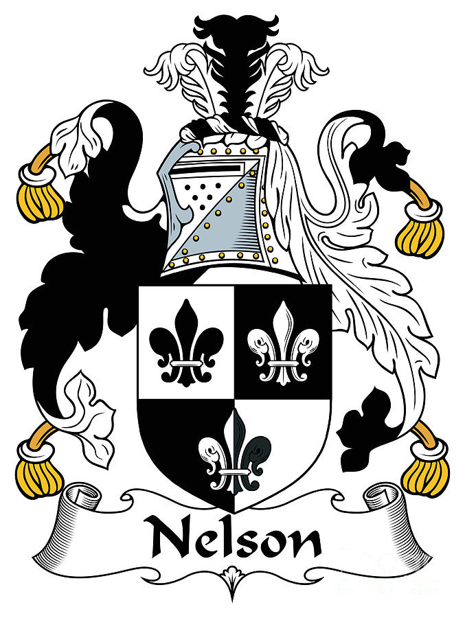 Nelson Coat of Arms Irish Digital Art by Heraldry - Pixels