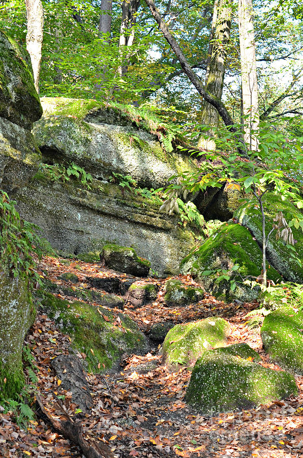 Nelson-Kennedy Ledges Photograph by Lila Fisher-Wenzel