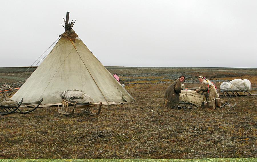 Nenets village, Russia. Photograph by Science Photo Library