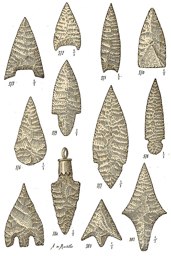 Neolithic And Bronze Age Arrowheads Photograph by Science Source