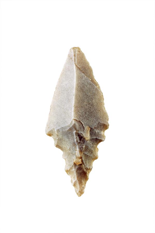 Prehistoric Photograph - Neolithic Arrow Head. by Geoff Kidd/science Photo Library