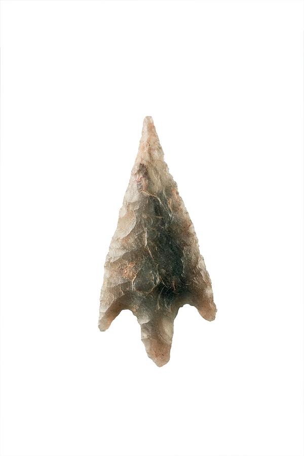 Neolithic Arrowhead Photograph by Geoff Kidd/science Photo Library