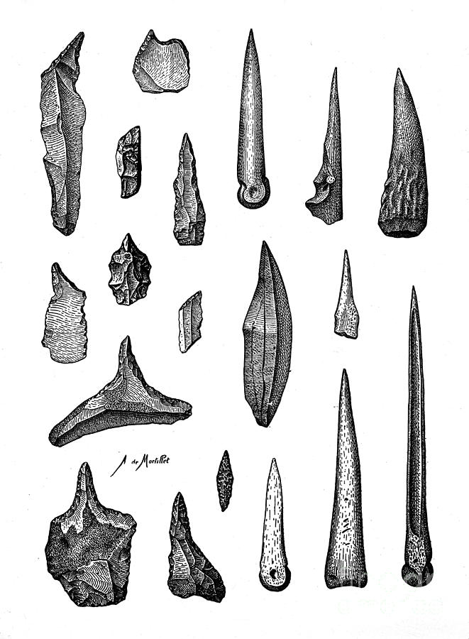 Neolithic Awls And Piercing-tools Photograph by Wellcome Images