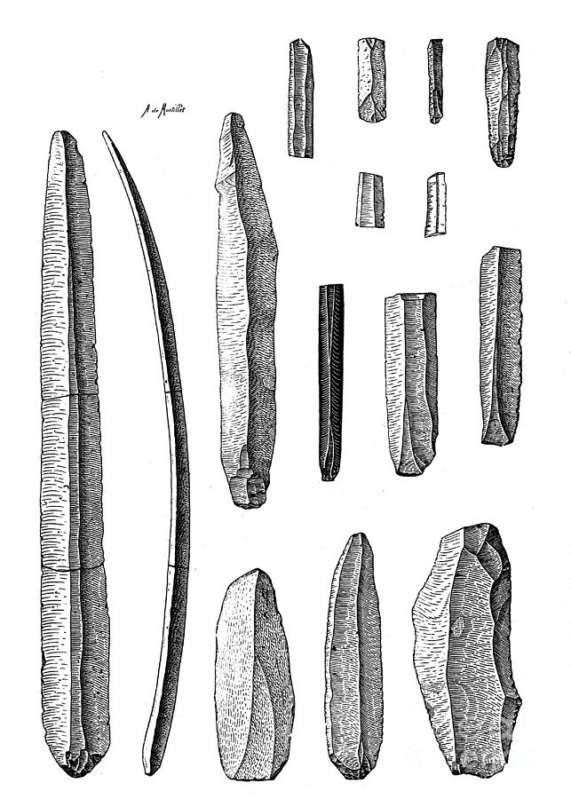 Neolithic Fint Flakes And Blades Photograph by Wellcome Images | Fine ...