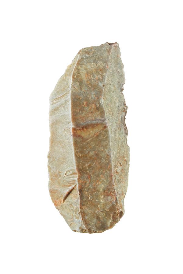 Neolithic Flint Scraper Photograph by Geoff Kidd/science Photo Library
