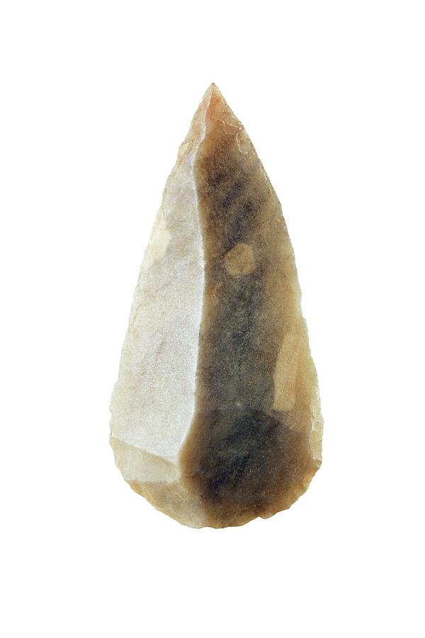 Neolithic Flint Spear Point. Photograph by Geoff Kidd/science Photo Library