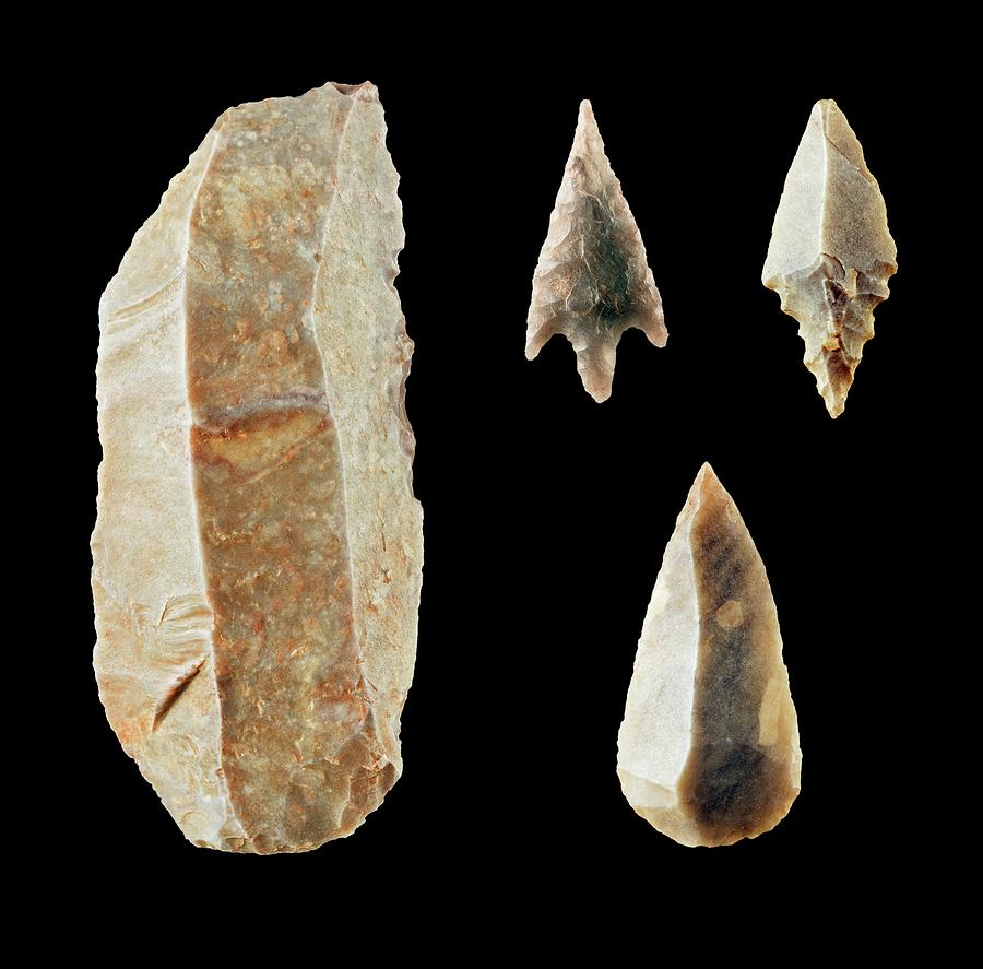 Neolithic Flint Tools. Photograph by Geoff Kidd/science Photo Library