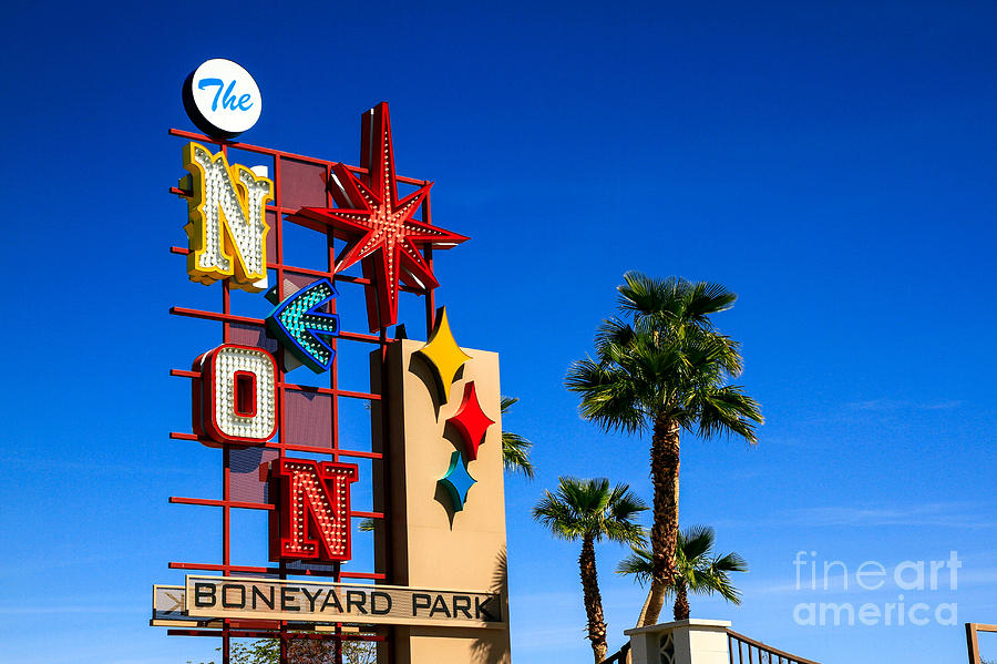 Neon Boneyard Nevada Photograph by Brenda Giasson