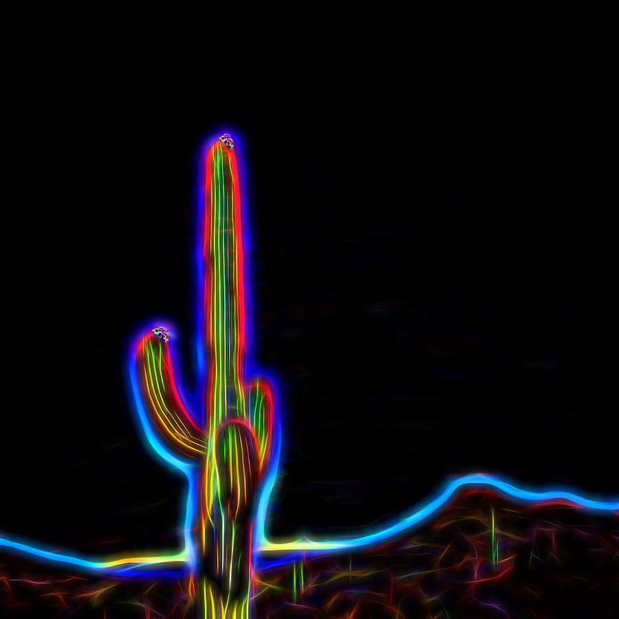 Neon Cactus in Bloom Photograph by Marianne Campolongo