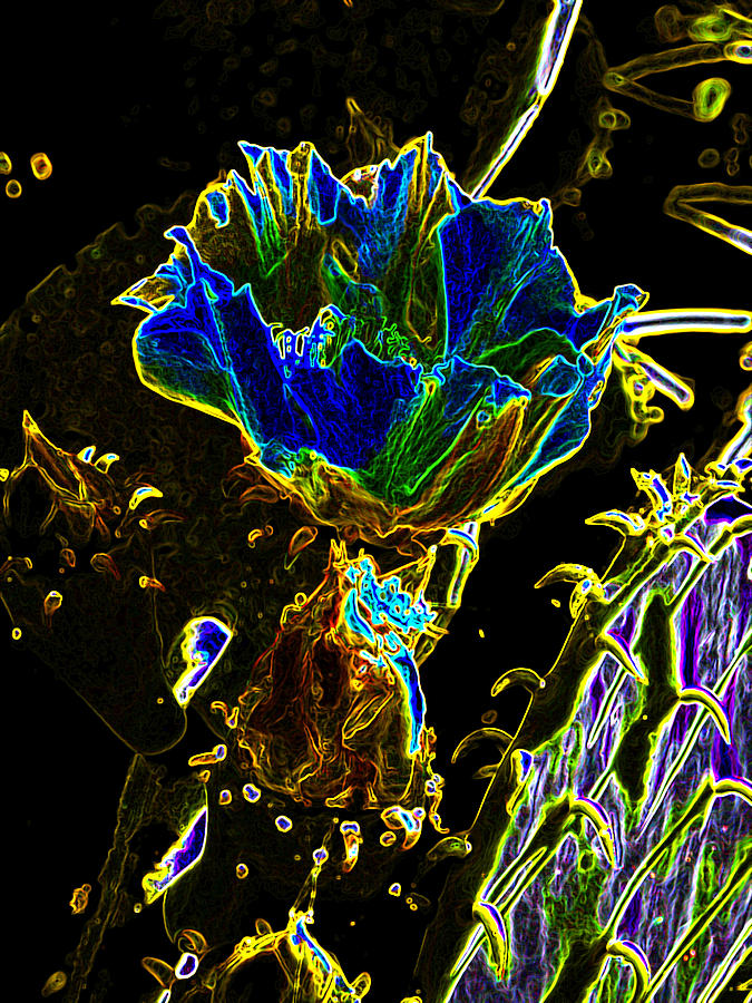 Neon Cactus Digital Art by James Granberry