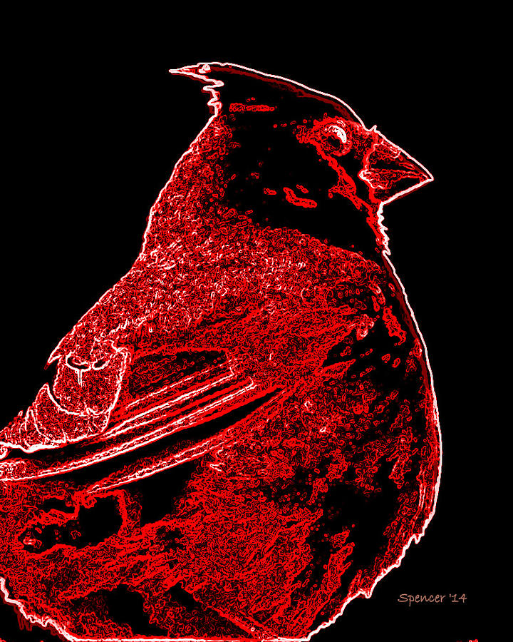 Neon Cardinal Photograph by T Guy Spencer