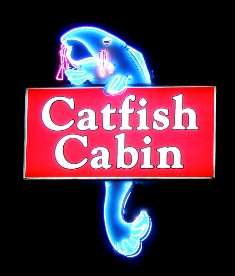Catfish Photograph - Neon Catfish Cabin  by Mark Moore