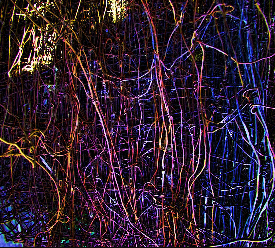 Neon Chickenwire Abstract Photograph by Cathy Anderson