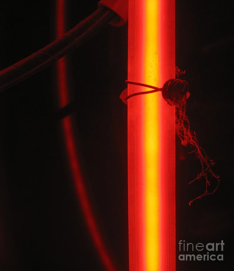 Neon Cobweb Photograph by John King I I I