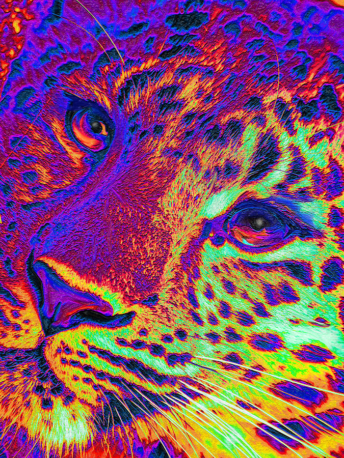 Neon Leopard Digital Art by Jane Schnetlage
