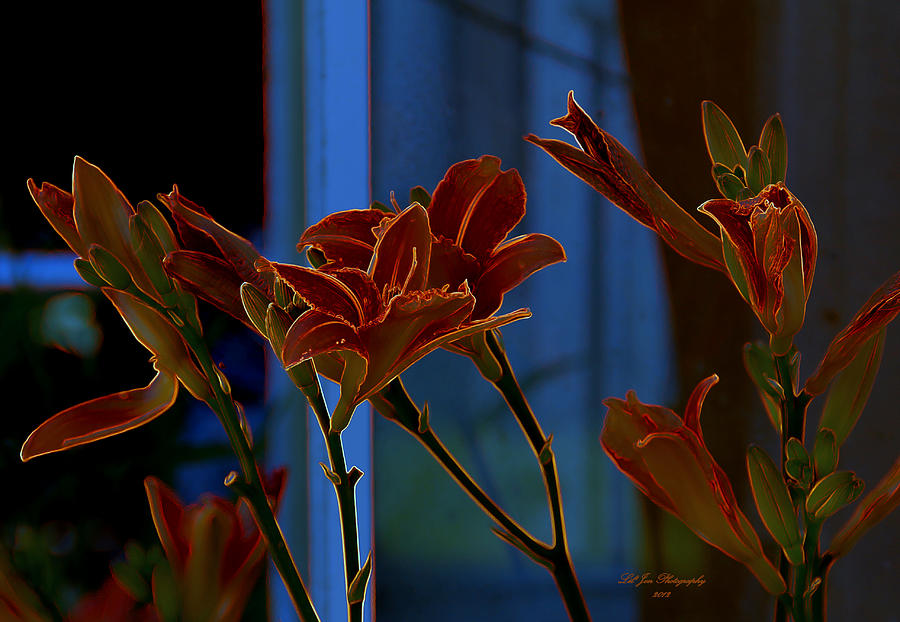 Neon Lilies Photograph by Jeanette C Landstrom