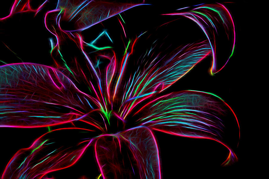 Neon Lily Photograph by Bill Franklin - Fine Art America