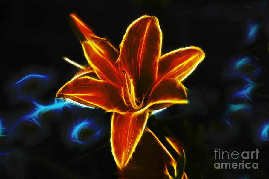 Neon Lily Photograph