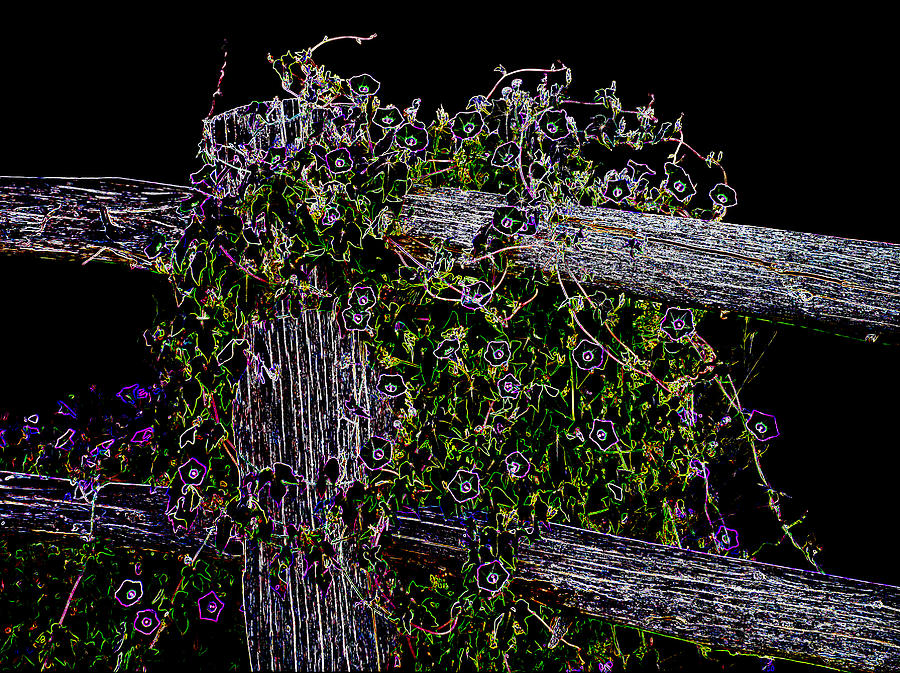 Flowers Still Life Digital Art - Neon Morning Glory by James Granberry