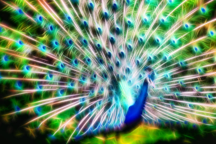 Neon Peacock Digital Art by Lynne Jenkins