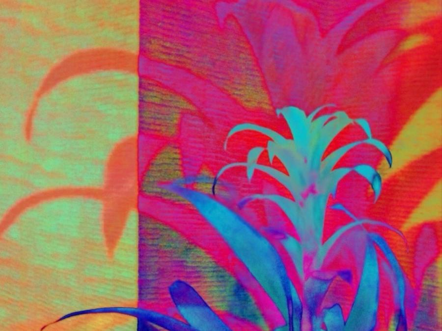 H Neon Pineapple Plant - Horizontal Painting by Lyn Voytershark