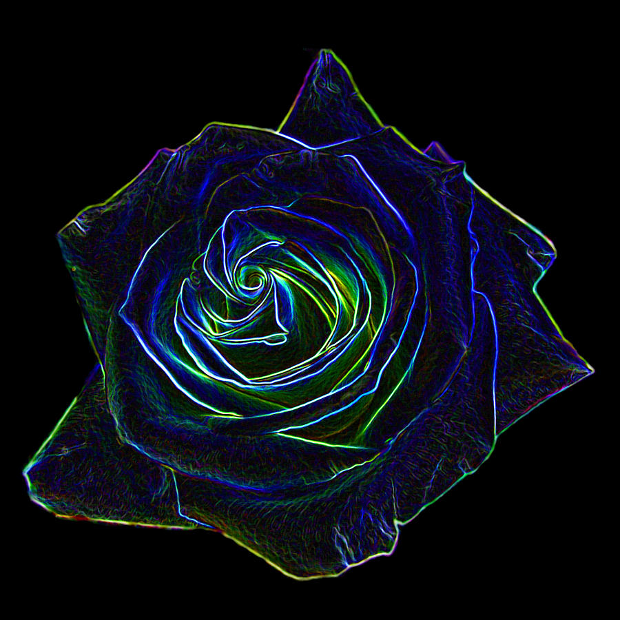 Flower Digital Art - Neon Rose 5 by Ernest Echols