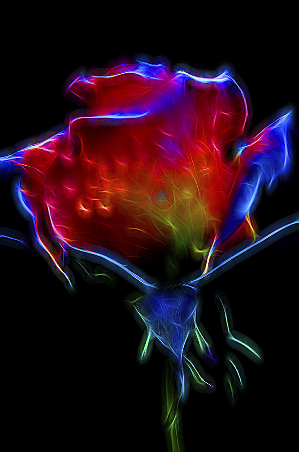 Neon Rose Digital Art by William Horden