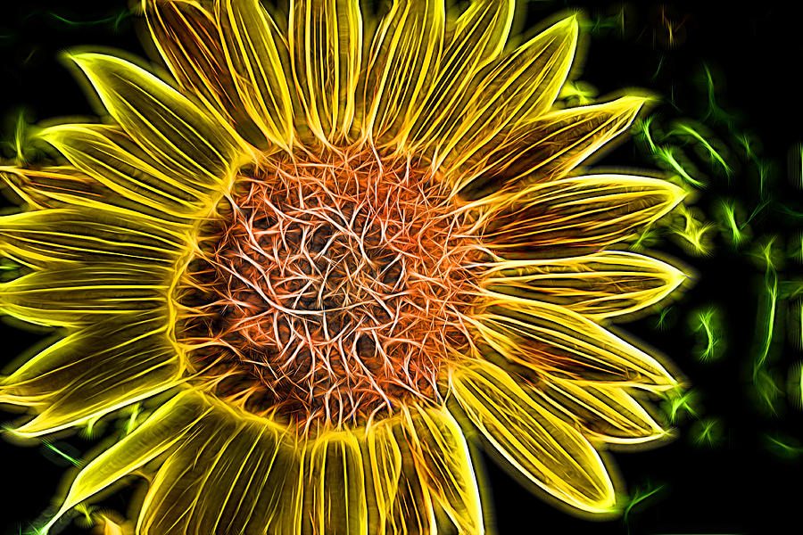 Neon Sunflower Painting Photograph by Alan Hutchins