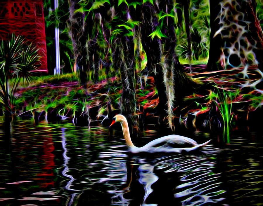 Neon Swan Photograph by Judy Vincent