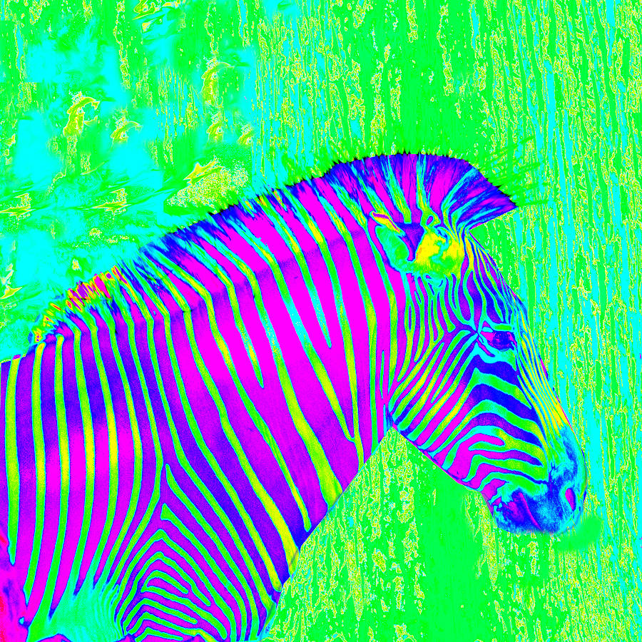 Neon Zebra 2 Painting by Jane Schnetlage