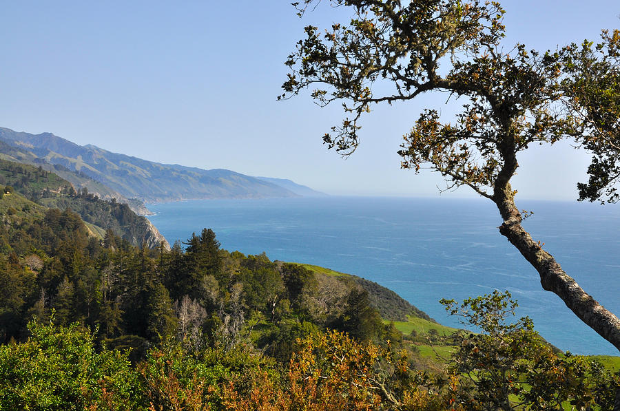 Nepenthe in Big Sur Photograph by Dena Baker