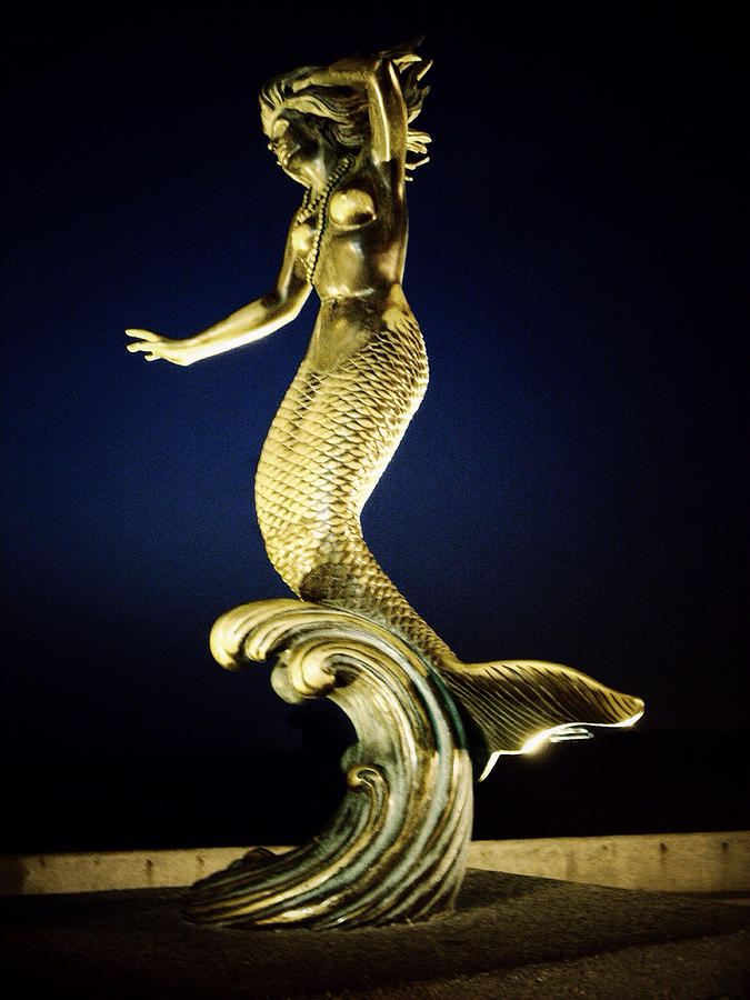 Mermaid Photograph - Nereid by Natasha Marco