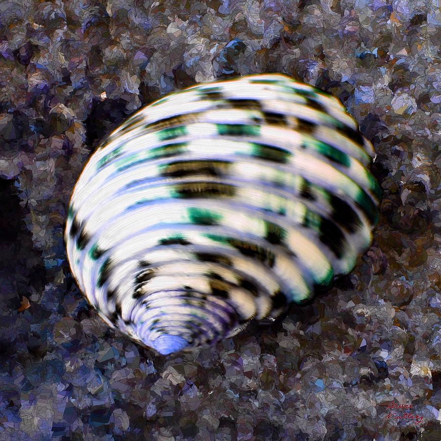 Nerita Versicolor Four-tooth Nerite Shell Painting by Bruce Nutting ...