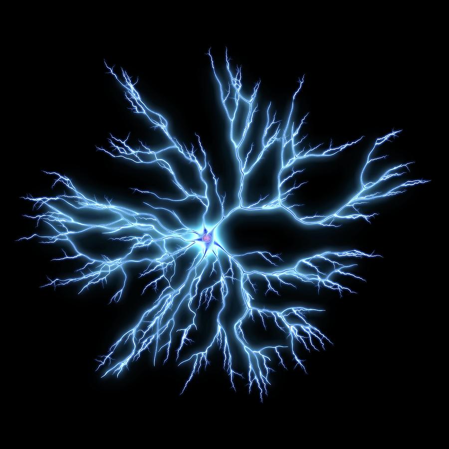 Nerve Cell Photograph by Alfred Pasieka/science Photo Library - Fine ...
