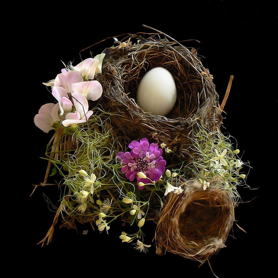 Nest Egg Photograph by Barbara St Jean