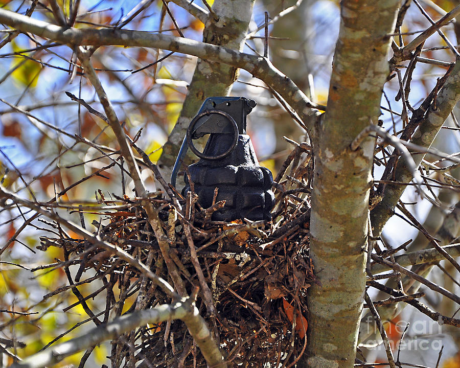Nest Frag Photograph by Al Powell Photography USA