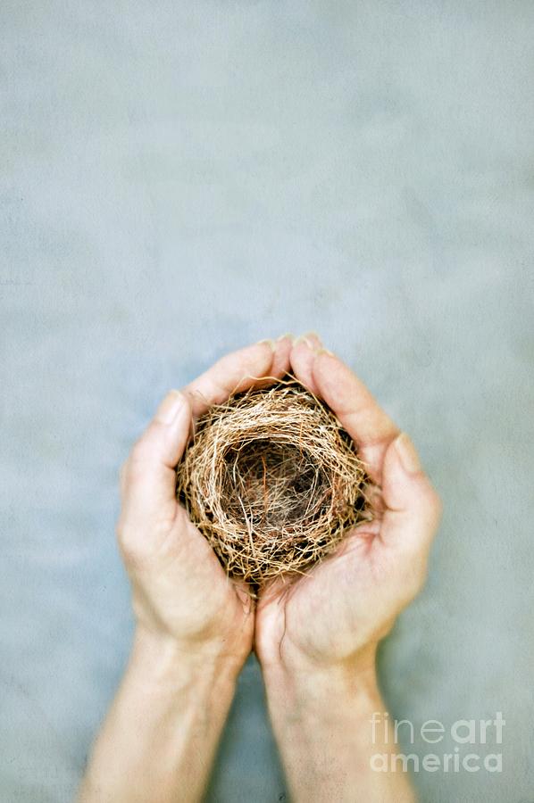 Still Life Photograph - Nest by HD Connelly