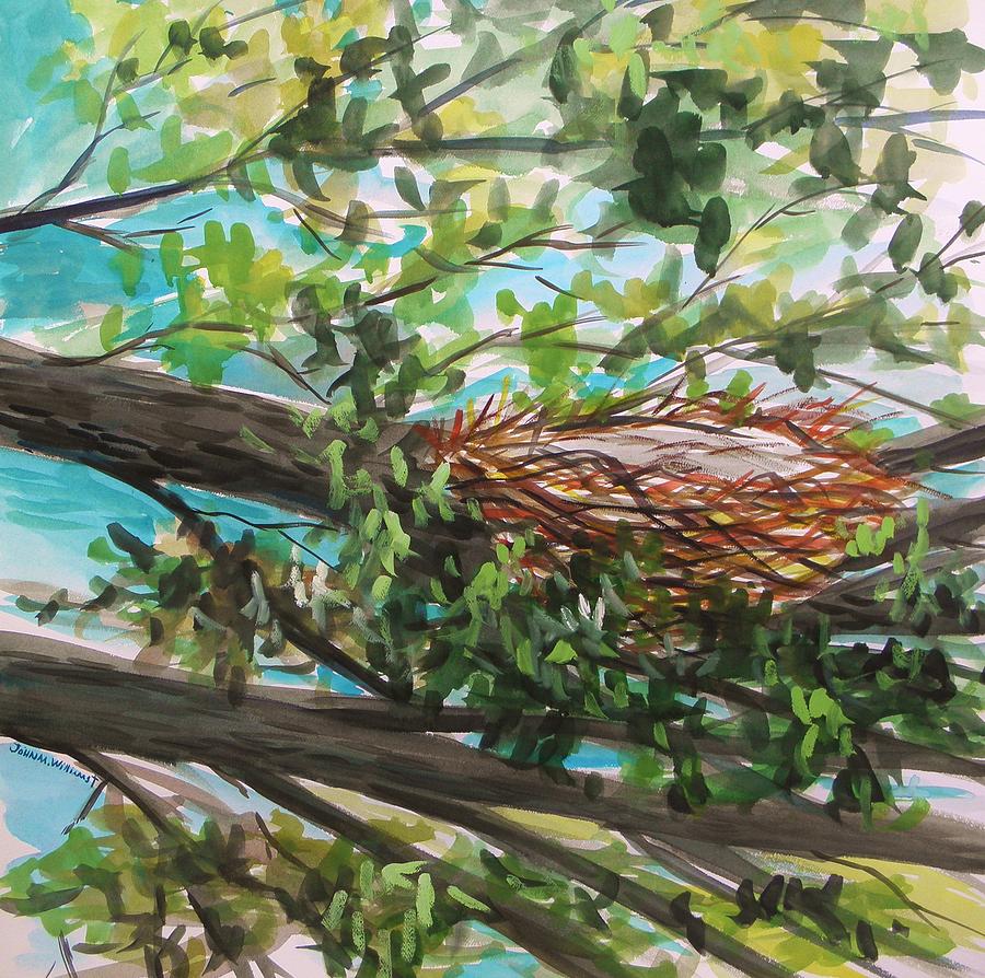 Nest Painting by John Williams