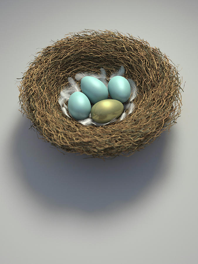 Nest With Golden Egg Among Blue Eggs Photograph by Ikon Images