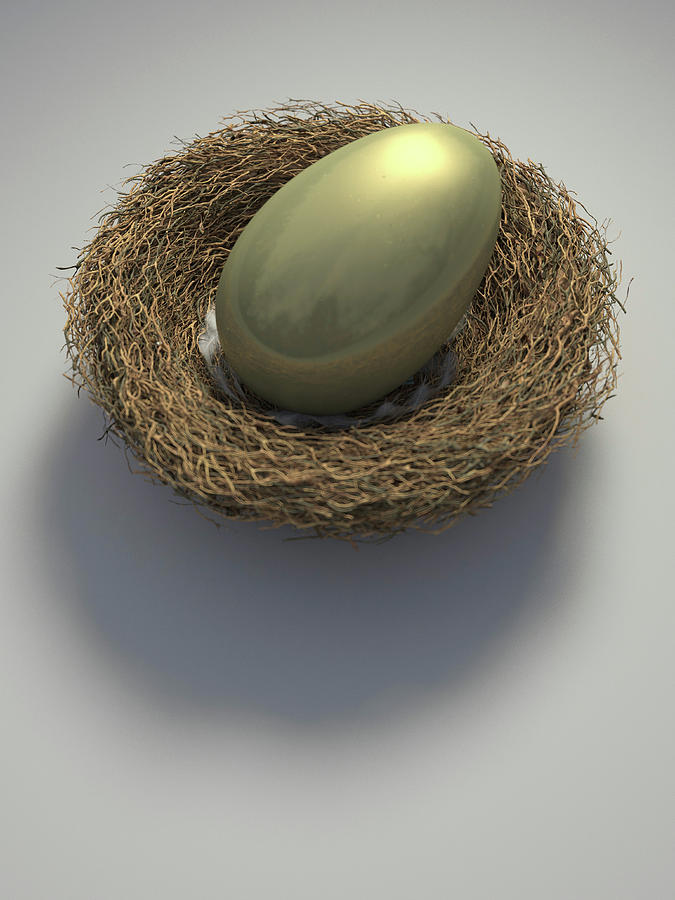 Nest With Large Golden Egg Photograph by Ikon Images