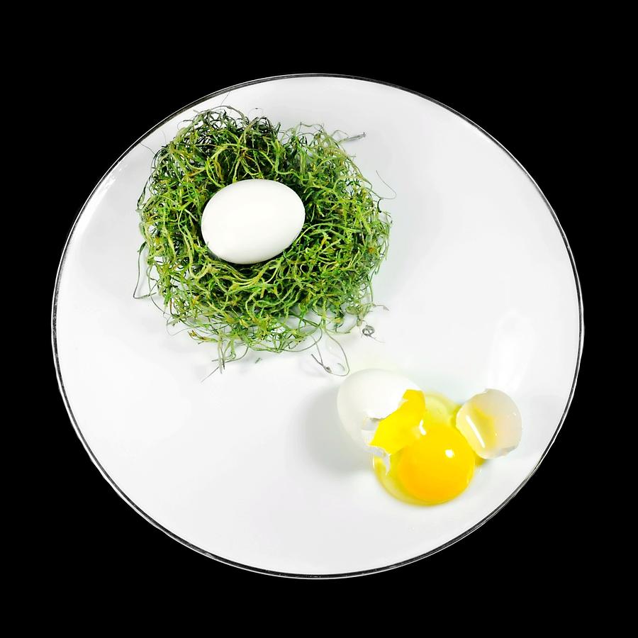 Egg Photograph - Nesting by Diana Angstadt