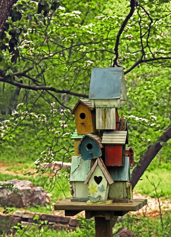 Birdhouse Photograph - Nesting by Don Spenner