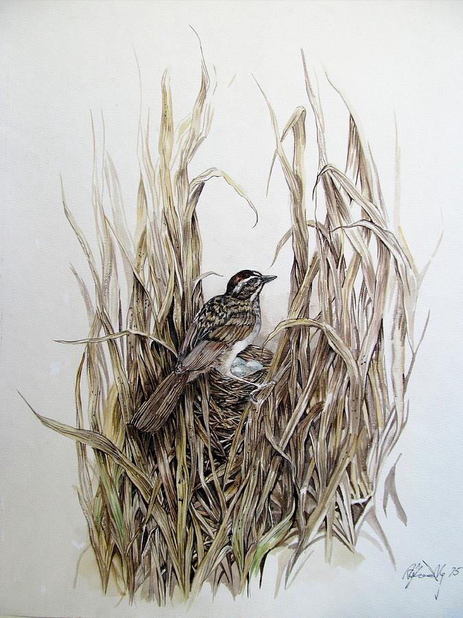 Nesting Sparrow Painting by Alfred Ng