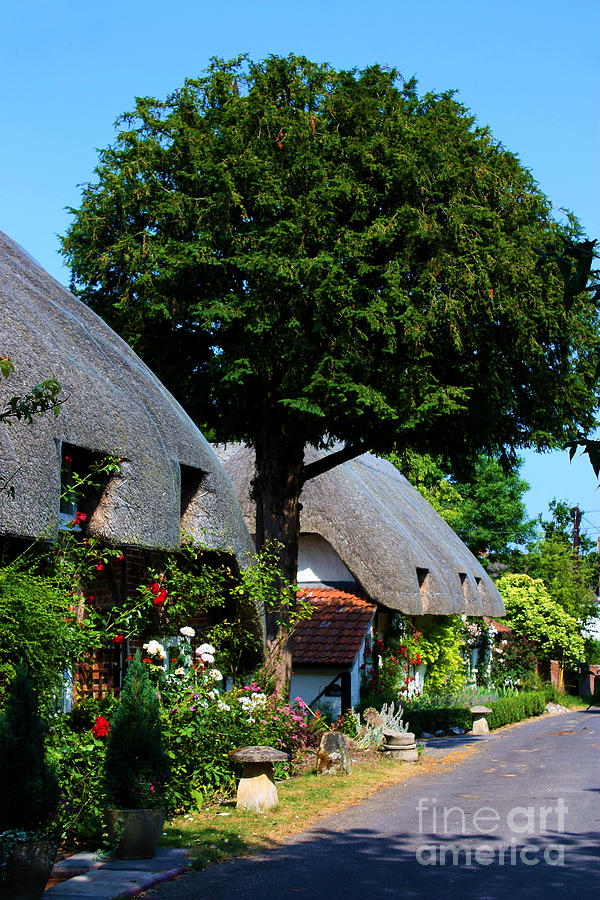 Nether Wallop Thatched cottages Photograph by Terri Waters