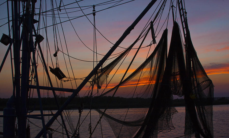 Nets at Sunset Photograph by Michael Ray - Fine Art America