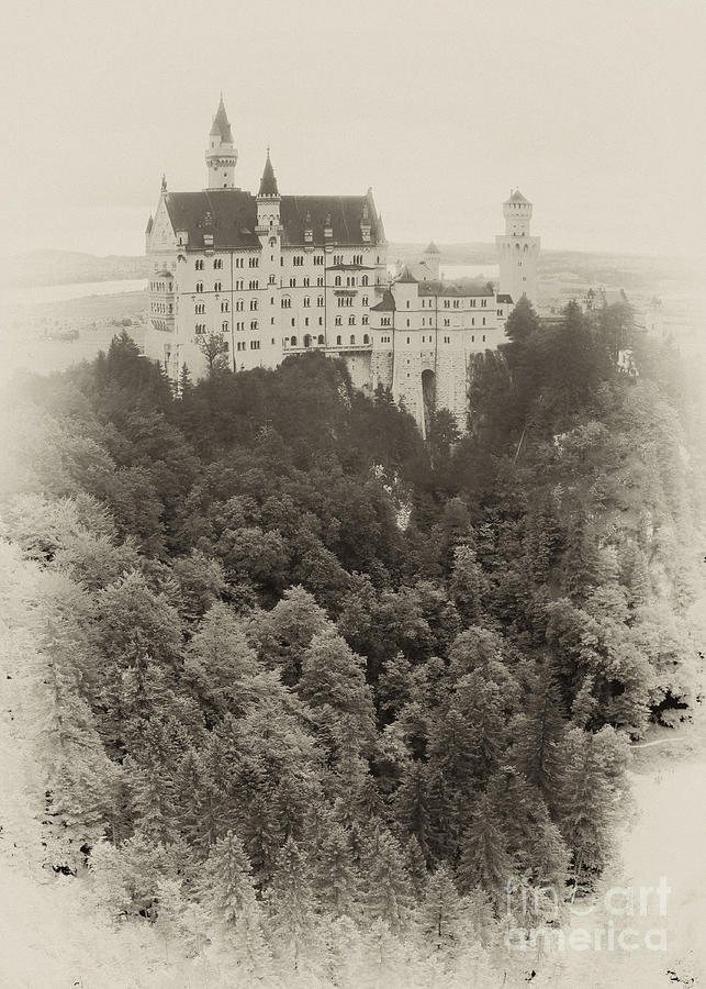 Neuschwanstein castle 13 Photograph by Rudi Prott
