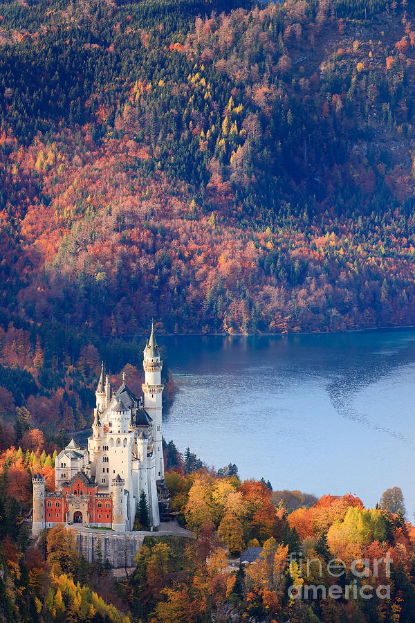 Castle Photograph - Neuschwanstein Castle in Autumn Colours by Henk Meijer Photography